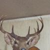 timmathis34